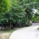 도곡 구사마을 숲정이 | 한국관광공사|화순여행 1