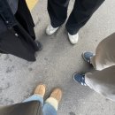 종로41길 | 즐거웠던 서울여행 / 사미커피 / 백제정육점 / 꽃지로 / 스파렉스 굿모닝시티