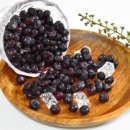 블루베리 이미지