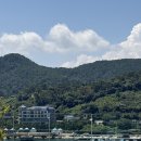 이케아코리아동부산점 (레스토랑앤카페) | 부산 기장 브런치 카페 맛집, 디시앤쉐어 솔직 방문 후기 및 맛평가