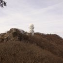 금산-69 이미지