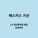에스키스 | LH 청년특화형 매입임대주택 | 에스키스 가산 특별전형 신청 - 선정 후기
