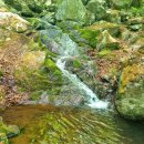 오서산 늘봄 가족독채펜션 이미지