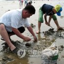 통개해수욕장 Daum카페