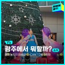 [대관공연] 2017 카즈미 타테이시 트리오 내한공연-지브리, 재즈를 만나다-광주 | 광주 HOT🔥 소식 절대 놓치지 마세요! G-CAN - 12월 3주 차