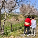 완산-139 이미지