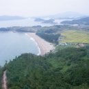 녹동식당