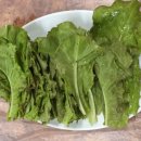 전라도세꼬시 이미지