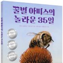 [책읽는곰] 최고의 작가들이 함께 만든 최고의 논픽션 그림책 《꿀벌 아피스의 놀라운 35일》 이미지