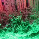 사립강원종합박물관 이미지