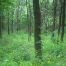 왕생로 40번길 이미지