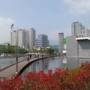 시민공원 남문 인근-3 이미지