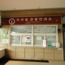 10만 송이의 해바라기 명소 강화나들길 10코스 머르메 가는 길 (대룡시장-난정저수지-난정해바라기정원...
