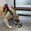 범어동물병원 이미지