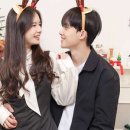 코코아트리
