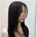 신S헤어