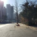 강남-185 이미지