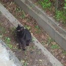 엑센트당구장 이미지