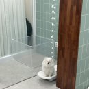 무거동 봄이네 이미지