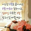 리본나무