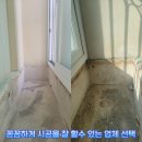 탄성맨