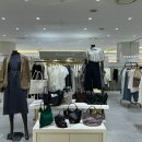 롯데강남파슨스