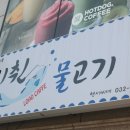 미췬물고기 이미지