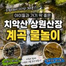 원주 치악산 상원산장 계곡 후기│아이들과 당일치기 물놀이 명소 추천