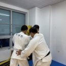 세종유도관 이미지