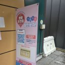 불러불러 찐 | 정선 여행 자동차 카트 연습장 6살 리얼 후기 - 화암카트체험장