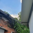 서울 봉천동 속눈썹펌 홍에스테틱 후기
