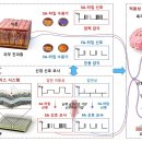 본시스템 이미지