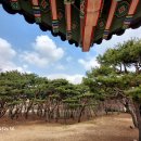 이로 한식뷔페 | 해미읍성 미스터션사인 촬영지, 한식뷔페 맛집 늘벗 가성비 굿!!!