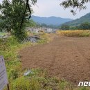법인평강랜드