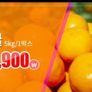 대전축산업협동조합 본점 하나로마트
