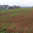 동광부동산공인중개사사무소 이미지