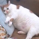 피트니스 연구소 이미지