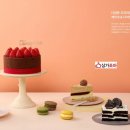 조아공인중개사사무소 이미지