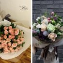 더 올림(The Ollim) 이미지