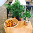 플레이스컴 이미지
