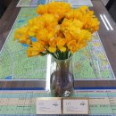 토담공인중개사사무소 이미지