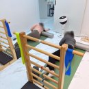 엔젤동물병원 | 다사임산부필라테스 세천임산부필라테스 엔젤 필라테스 다사점 후기