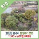 용진부동산공인중개사사무소 네이버블로그