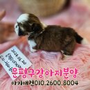 은평-045 이미지