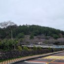 제주 사라봉 일제동굴진지 이미지