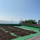 알맹이민박 이미지