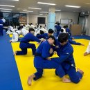 공명유도주짓수 이미지