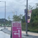 조치원읍 세종시민체육관 | 세종 조치원 복숭아 축제 후기: 복숭아 구입, 주차, 셔틀버스, 먹거리, 어린이 체험 정보