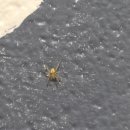 목은빌딩 | [EF 뉴욕 어학연수 후기 02] 1월 정산