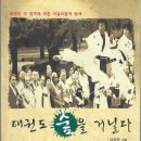 화랑태권도체육관(209) | 태권도 숲을 거닐다 : 태권도 각 영역에 대한 저널리즘적 탐색